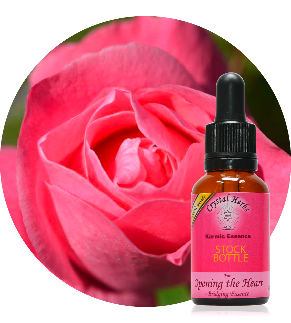 Pink Rose (Crystal Herbs)
