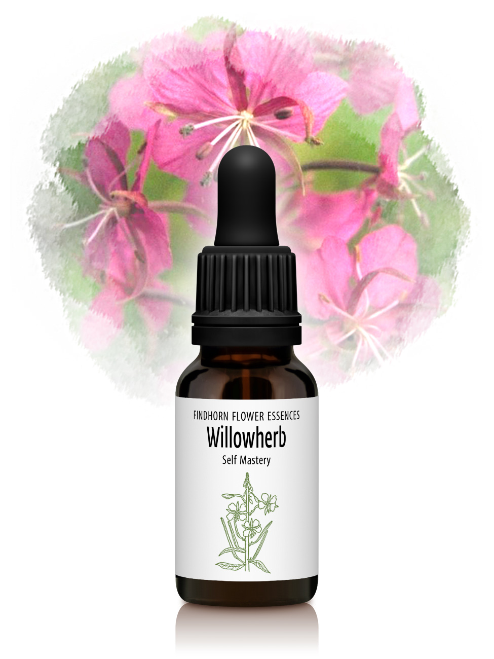 Willowherb