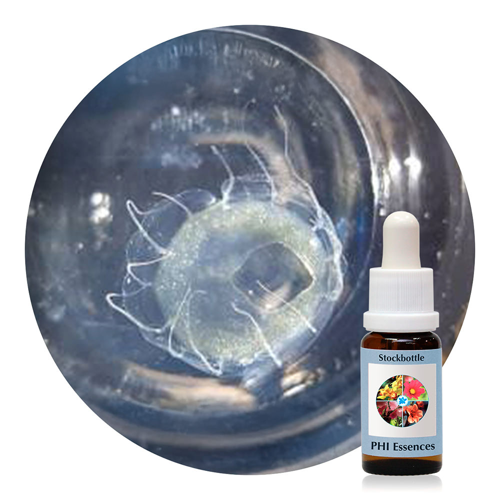 Ocean Essence No. 40
