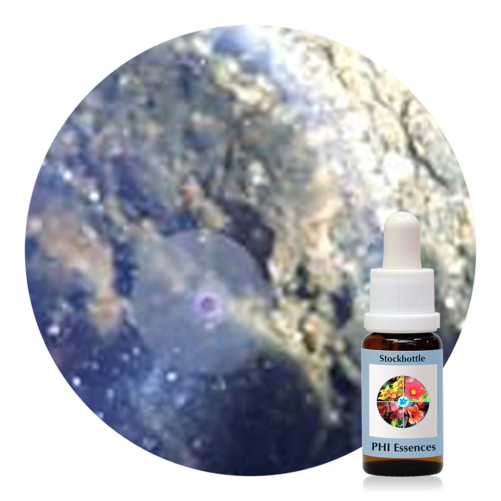 Ocean Essence Nr. 38