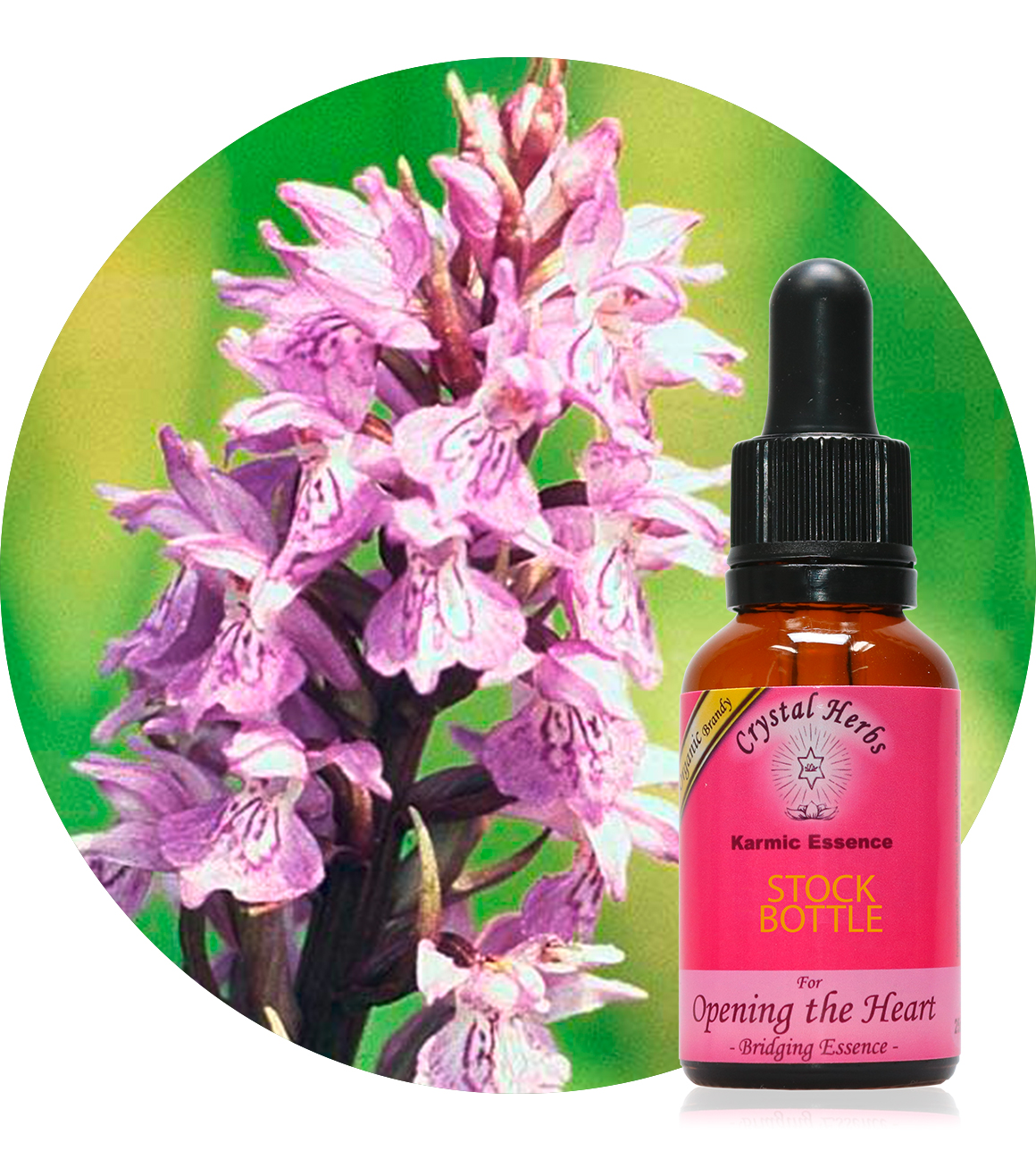Wild Orchid (Crystal Herbs)