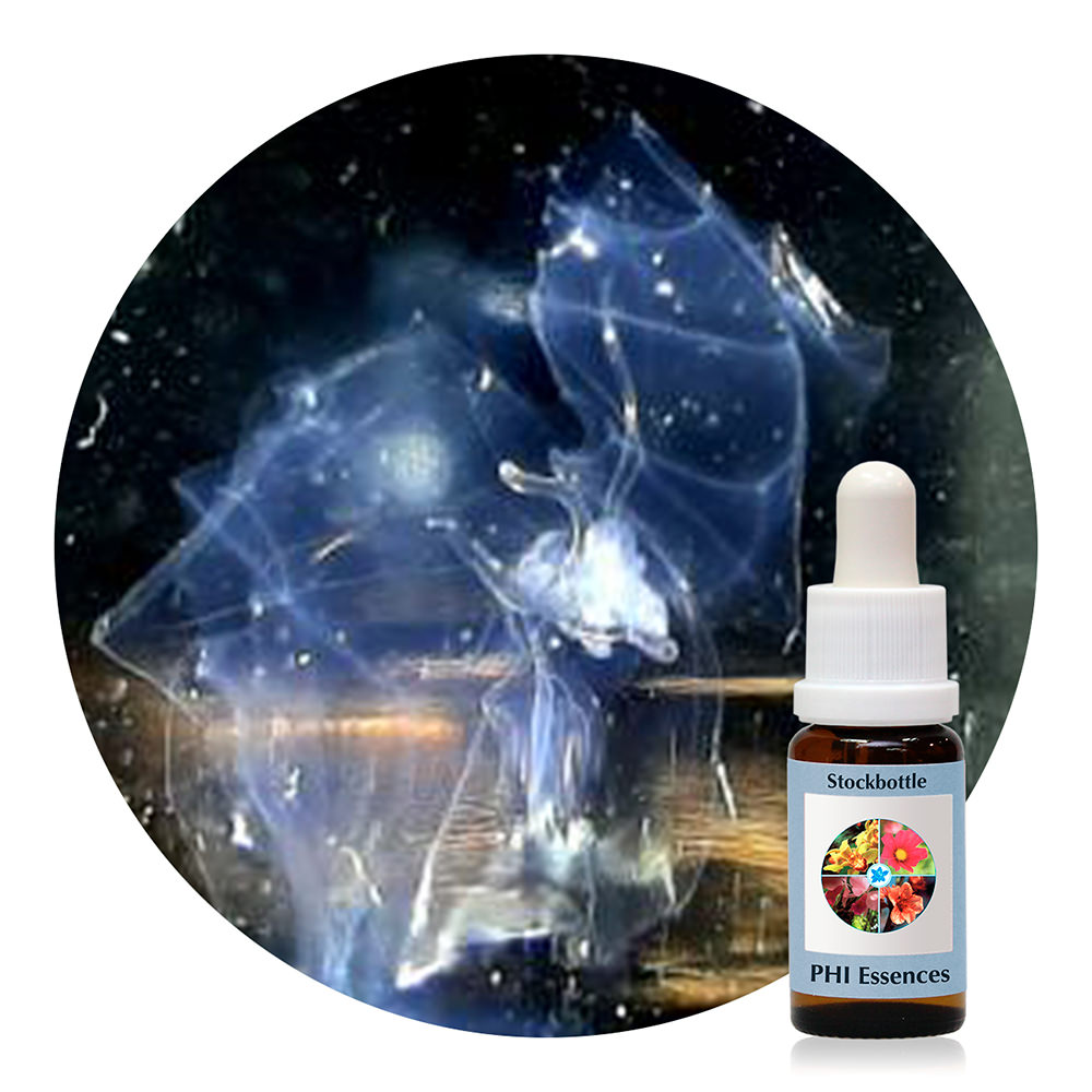Ocean Essence Nr. 59