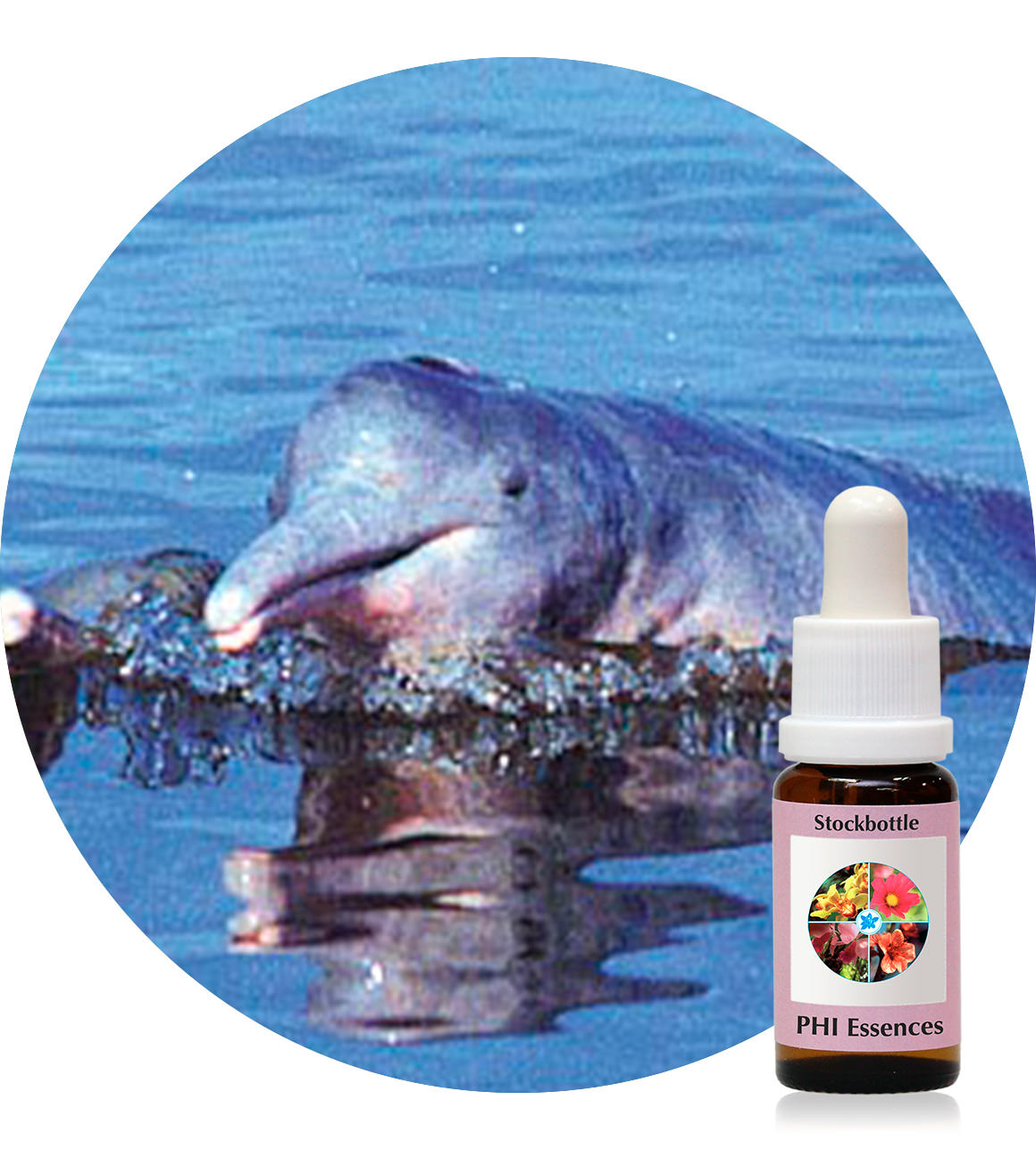 Rosaroter Amazonas Delphin 15 ml