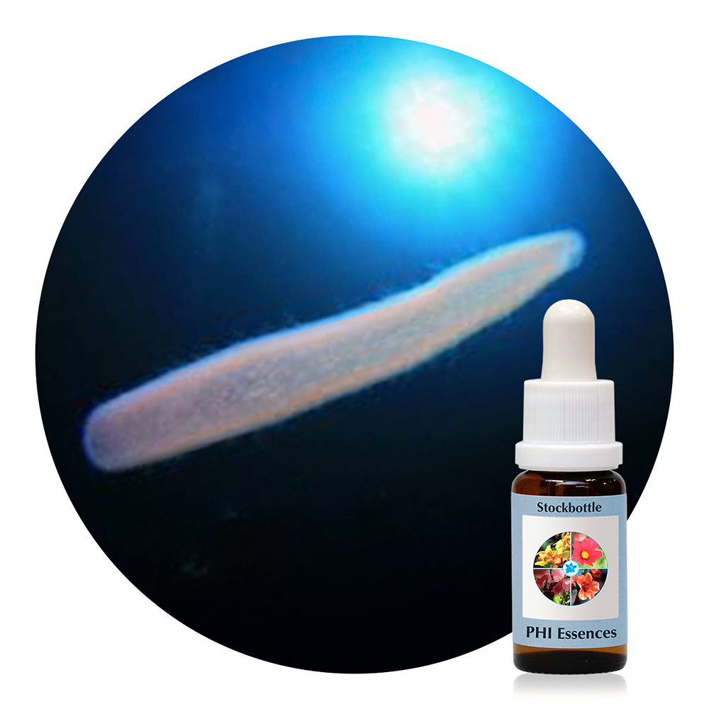 Ocean Essence No. 41