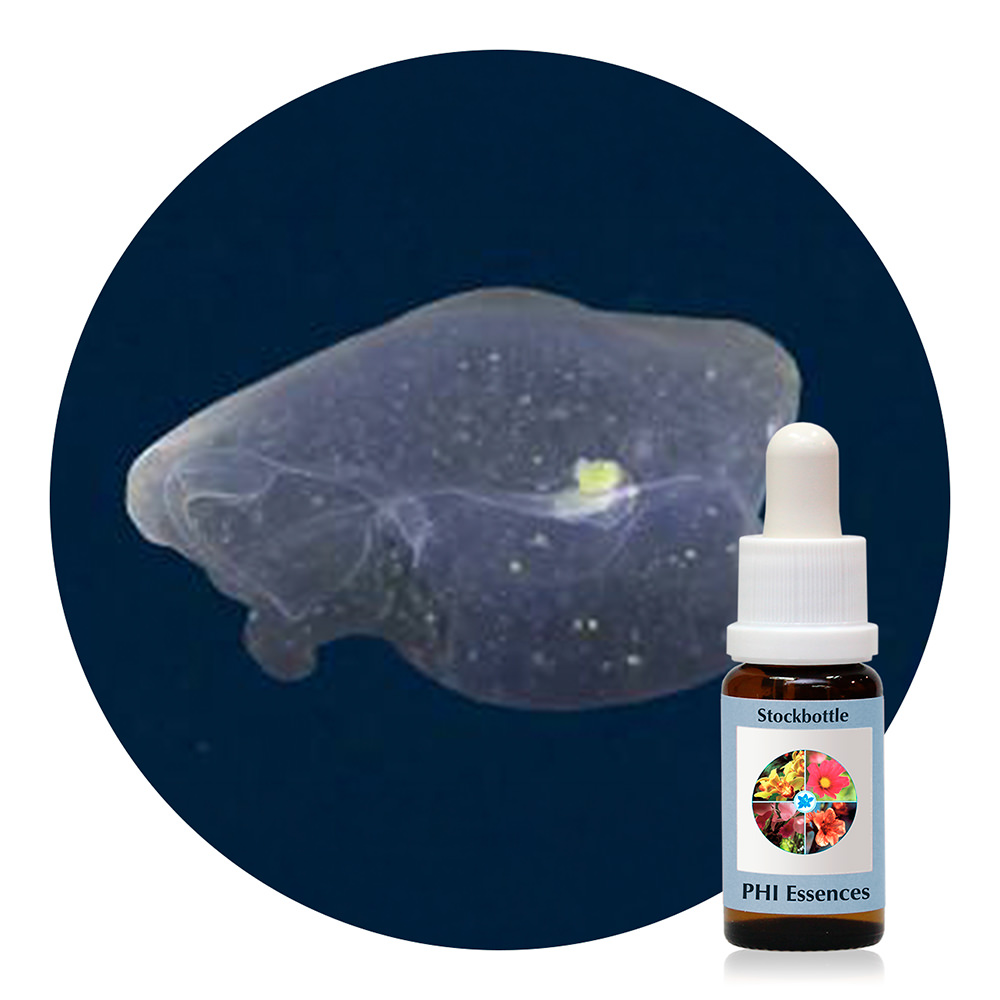 Ocean Essence No. 60