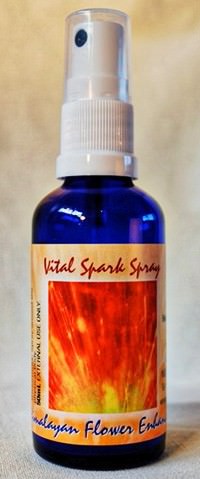 Vital Spark Mist