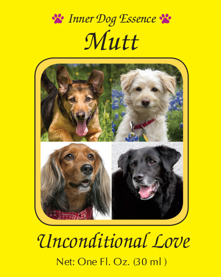 Mutt