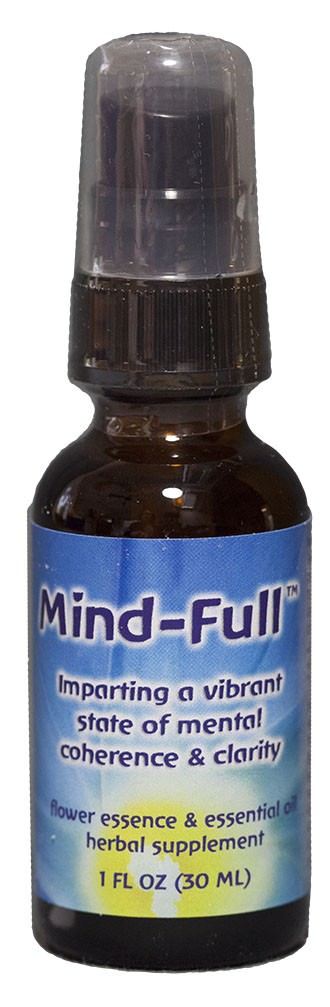 Mind-Full