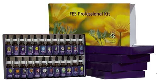 FES Komplettset (30 ml Stockbottles)