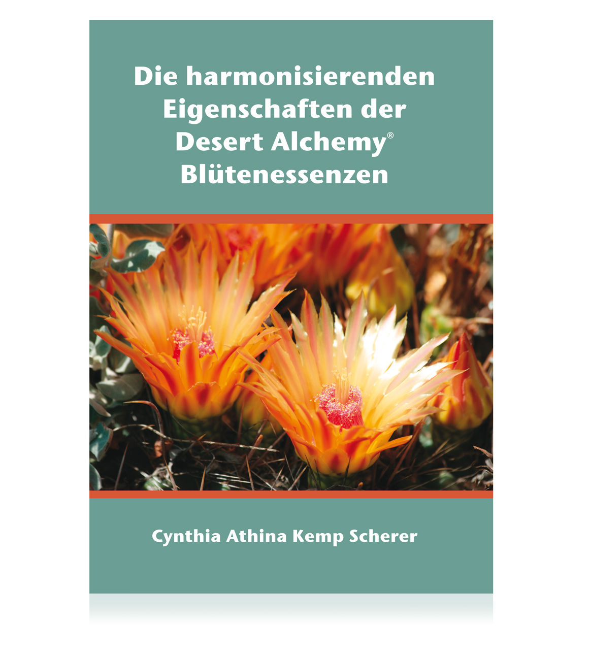 Die harmonisierenden Eigenschaften der Desert Alchemy Blütenessenzen