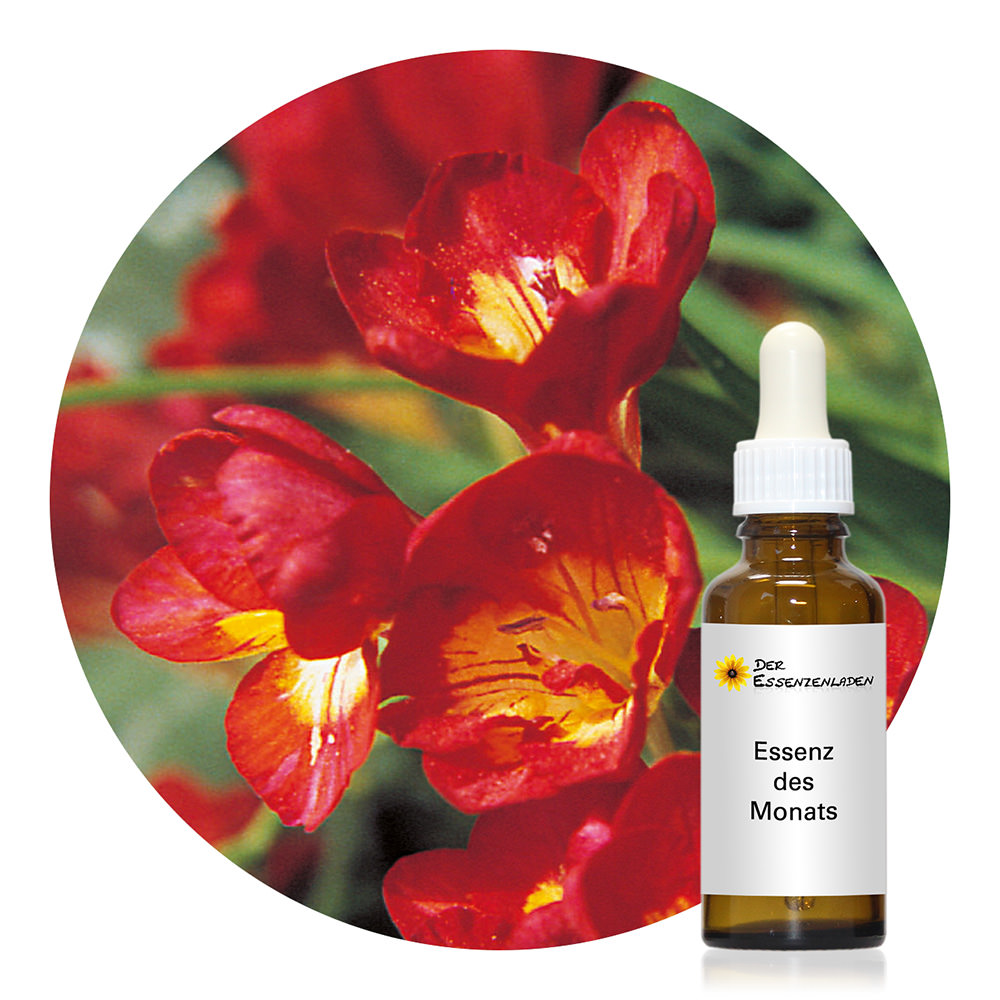 Freesia (dosage bottle)