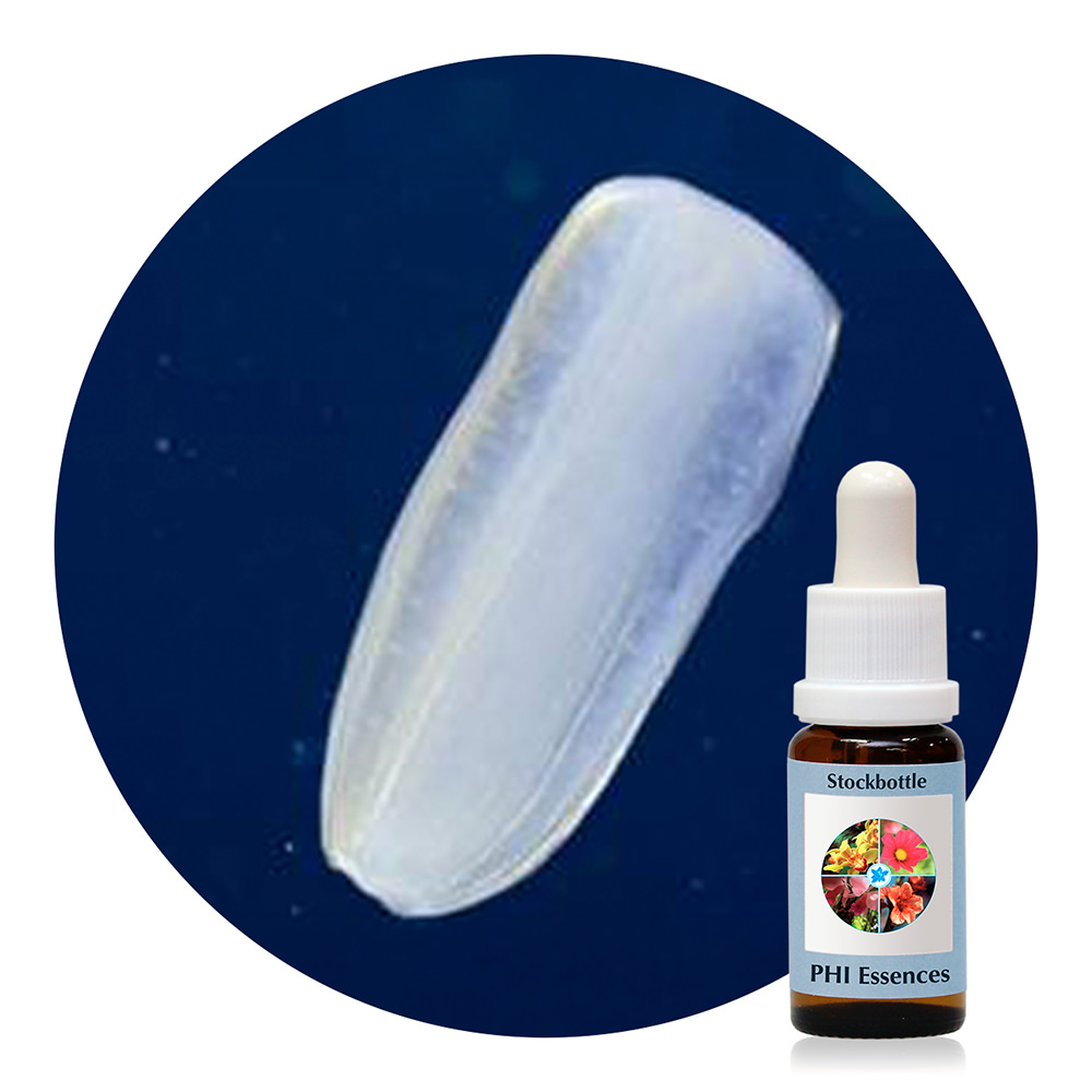 Ocean Essence No. 44