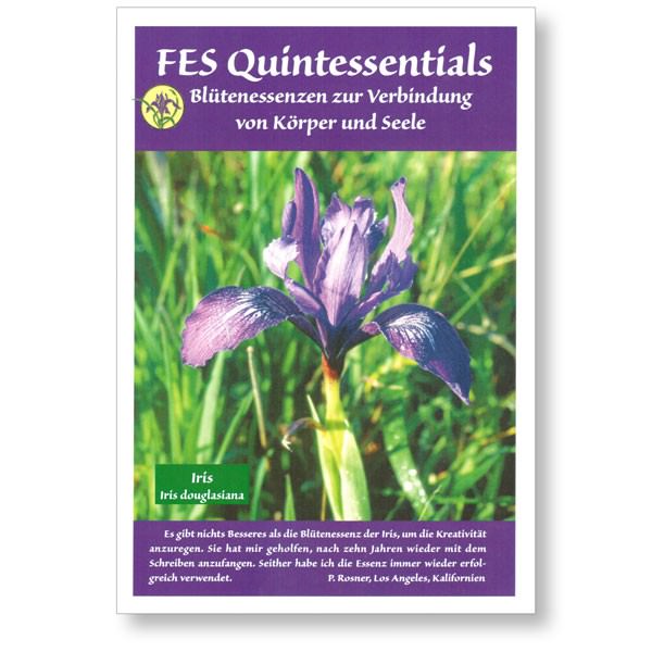 FES Quintessentials Booklet