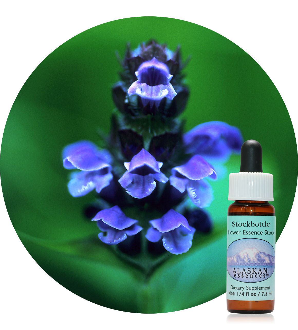 Self-Heal (F) 7,5 ml