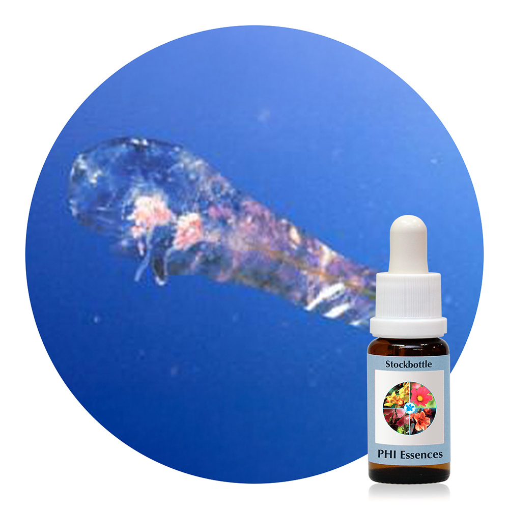 Ocean Essence Nr. 54
