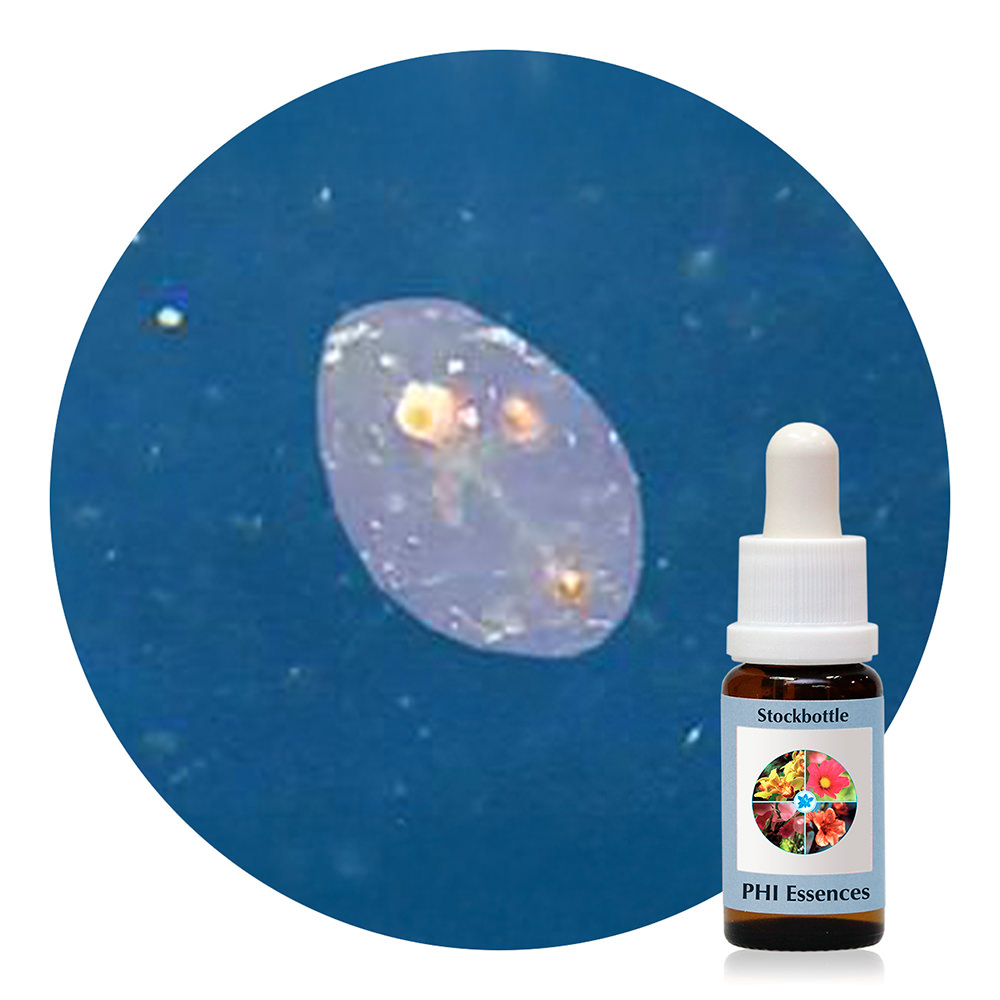 Ocean Essence No. 55