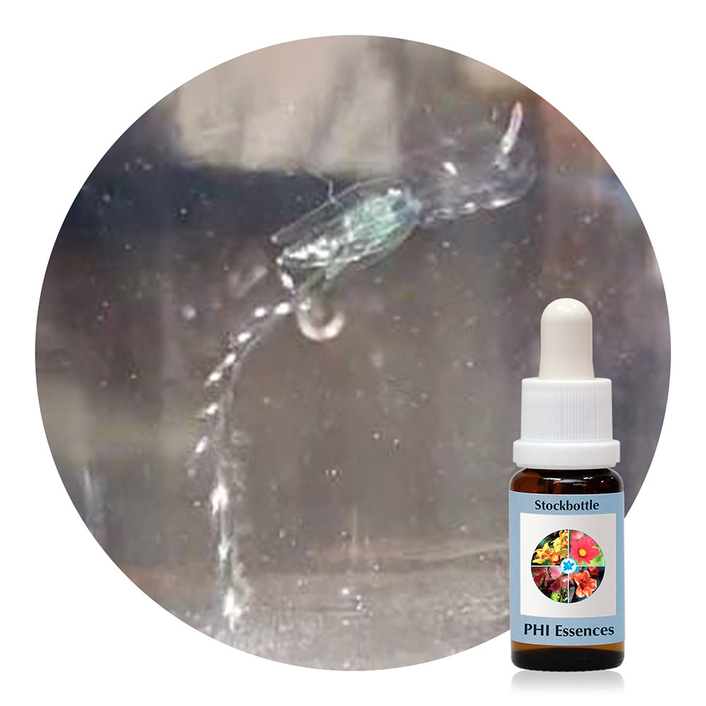 Ocean Essence No. 50