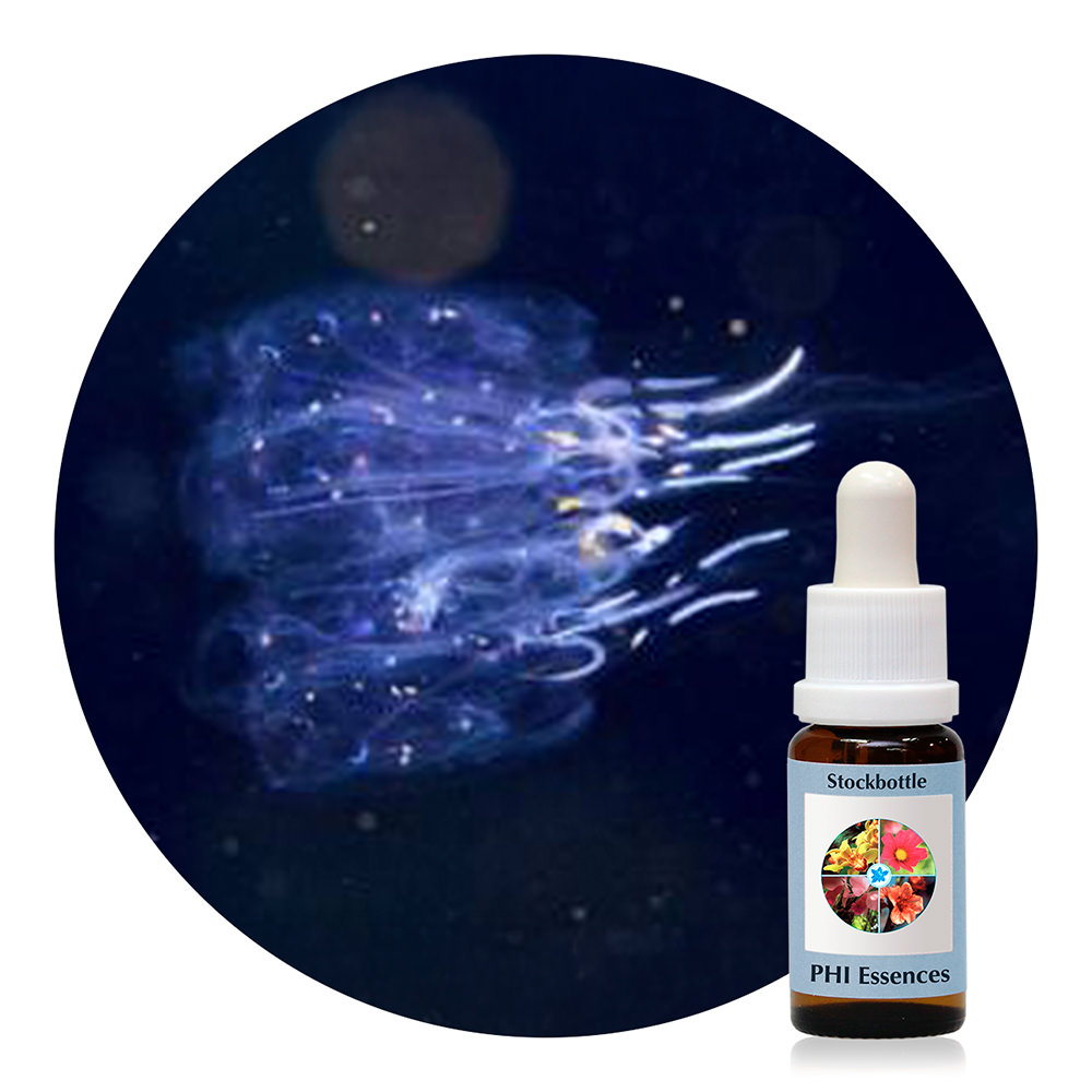 Ocean Essence No. 42