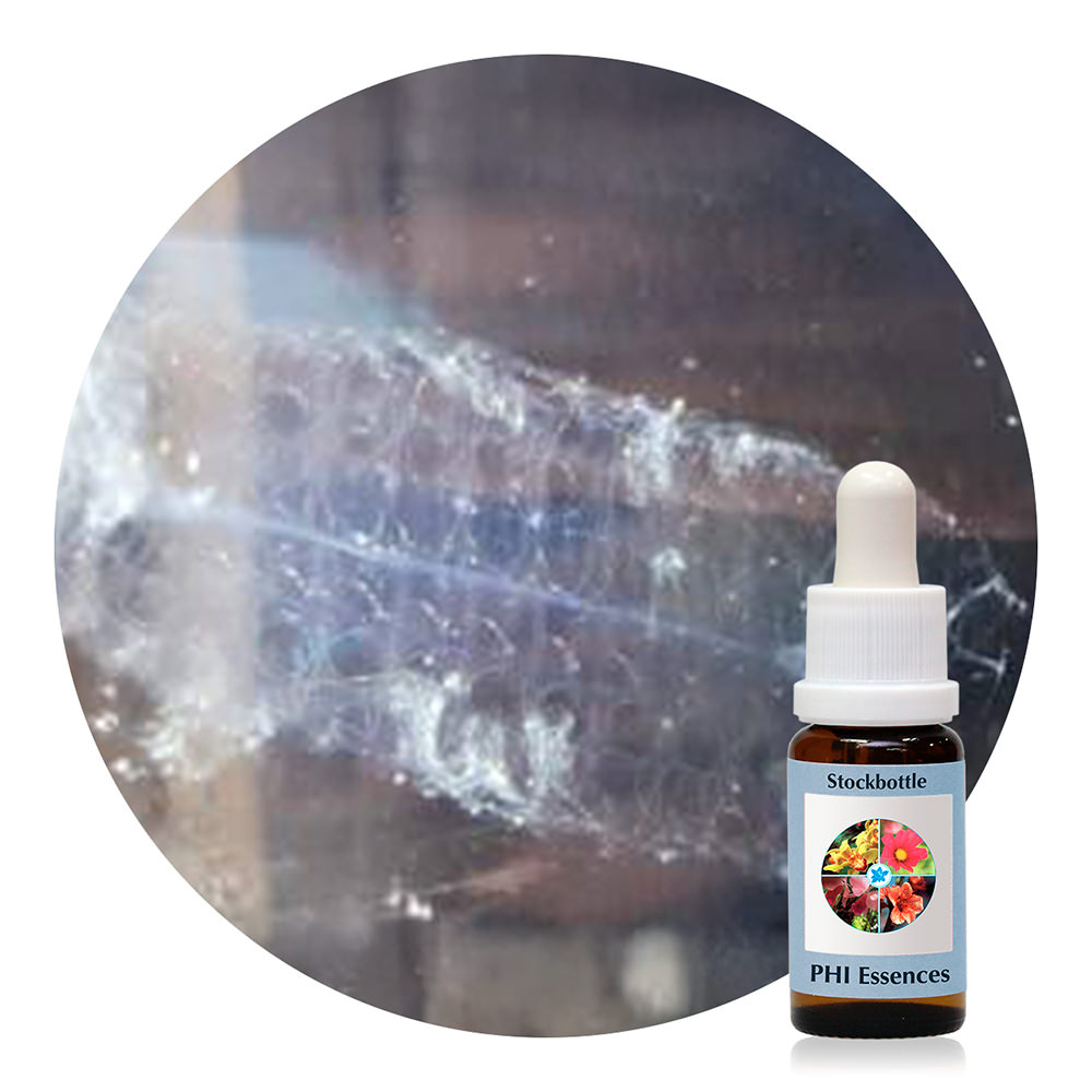 Ocean Essence Nr. 32