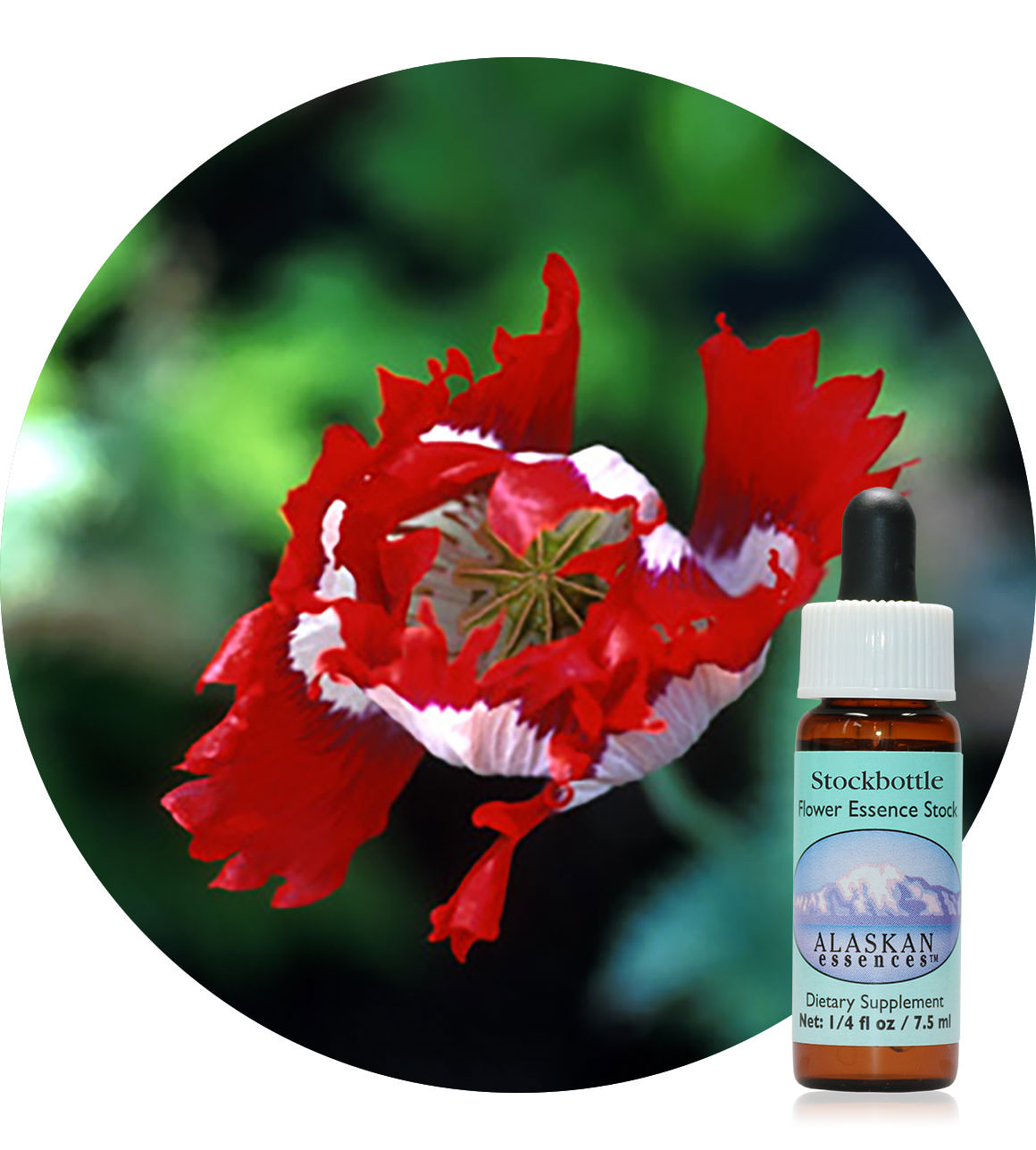 Opium Poppy 7,5 ml