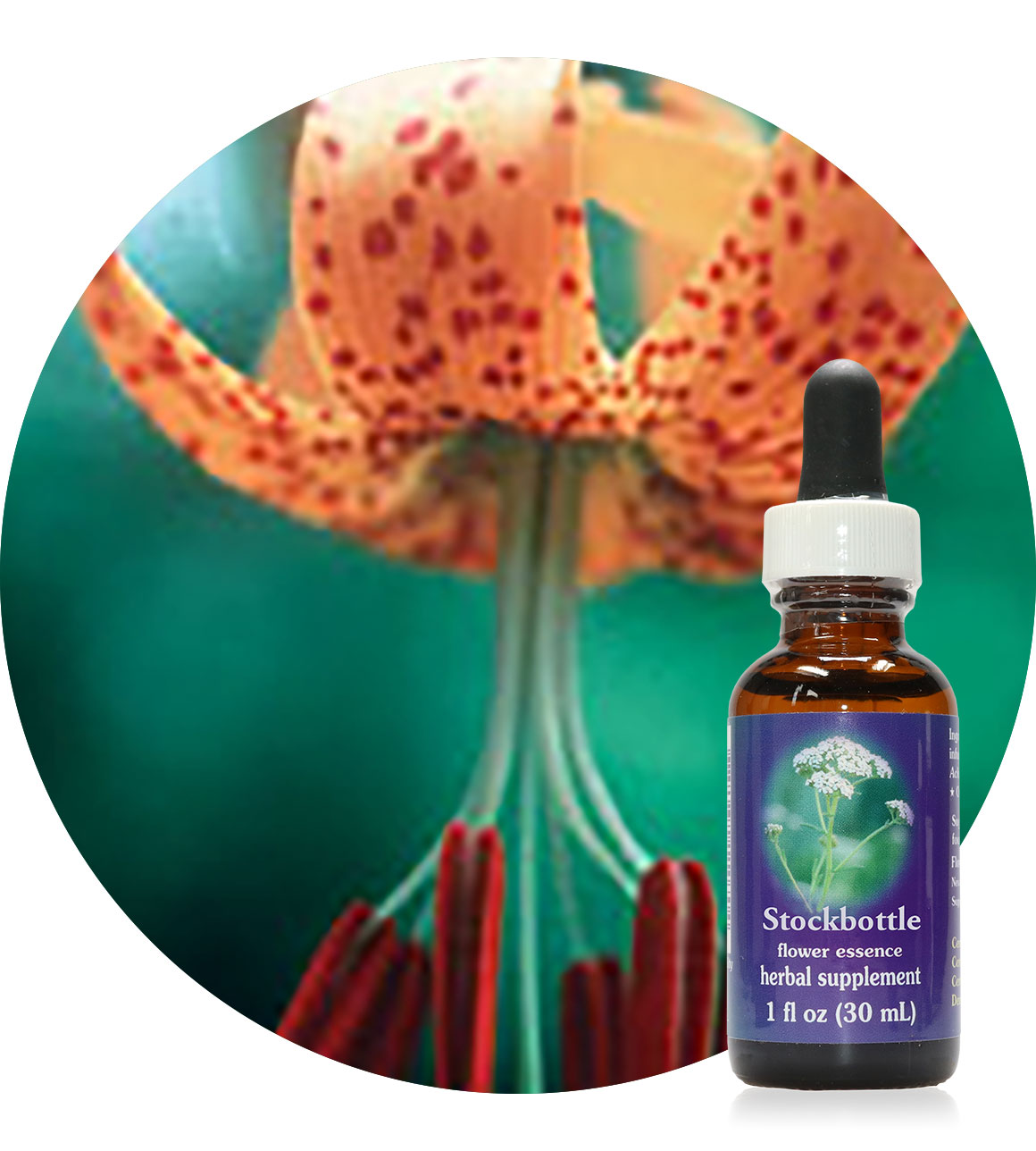 FES: Tiger Lily 30 ml (MHD 09/2025)