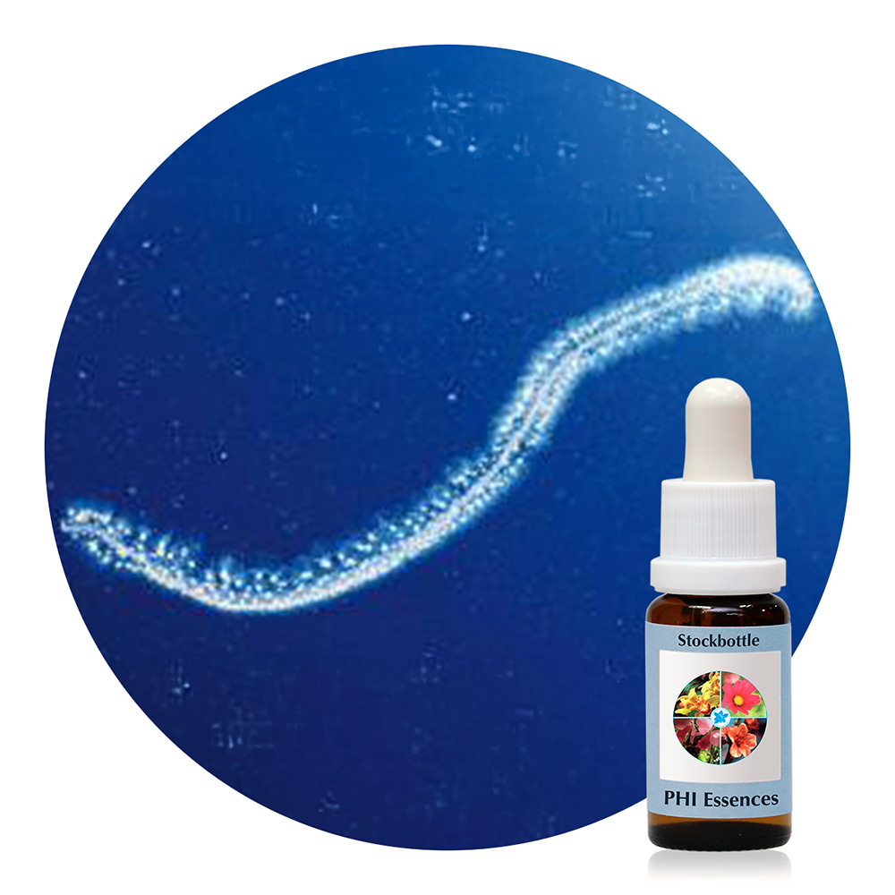 Ocean Essence No. 29