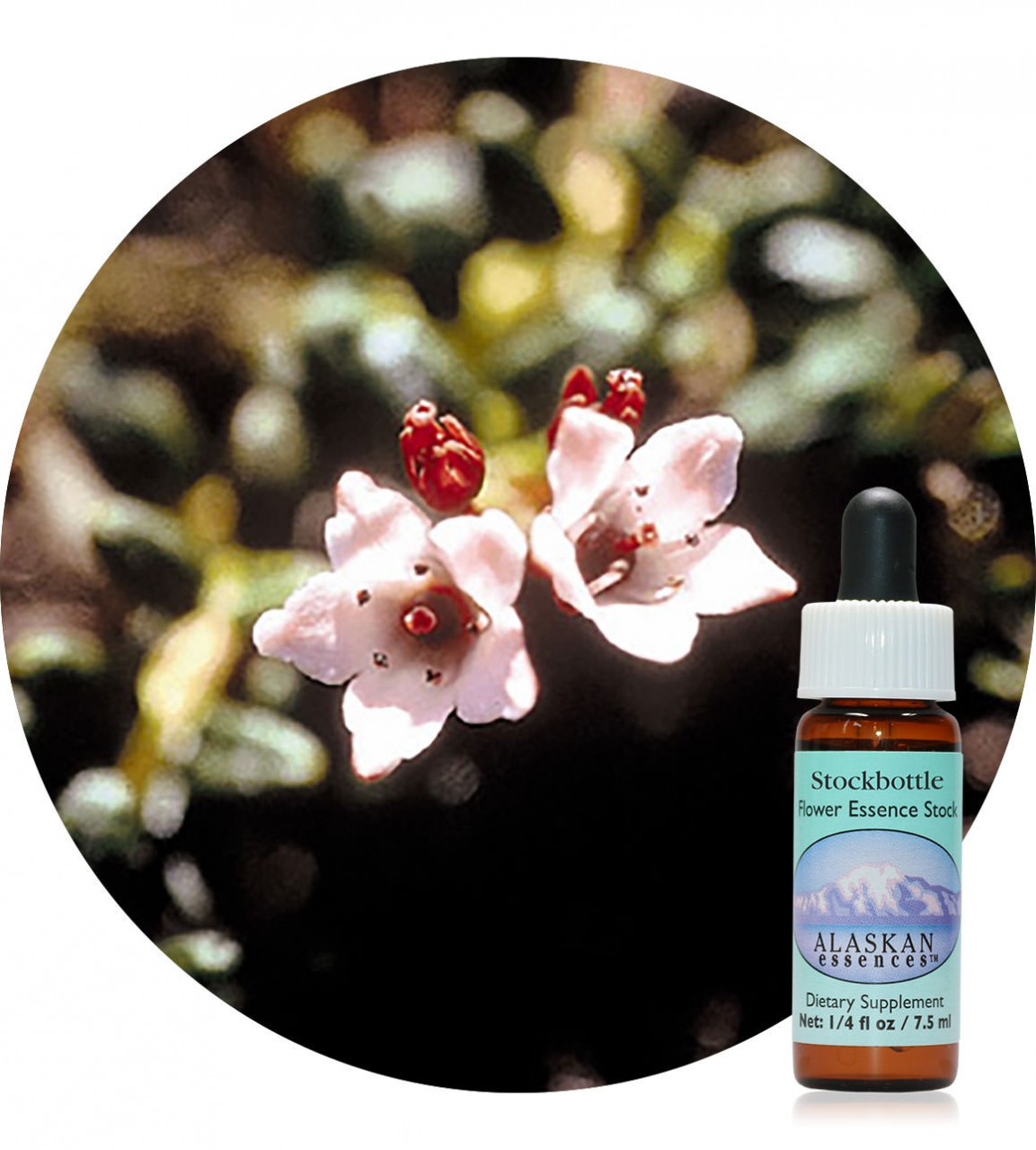 Alpine Azalea 7,5 ml Alaskan Essences Der Essenzenladen