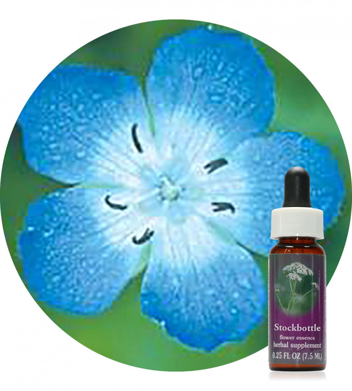 Baby Blue Eyes 7,5 ml Flower Essences Society Der Essenzenladen